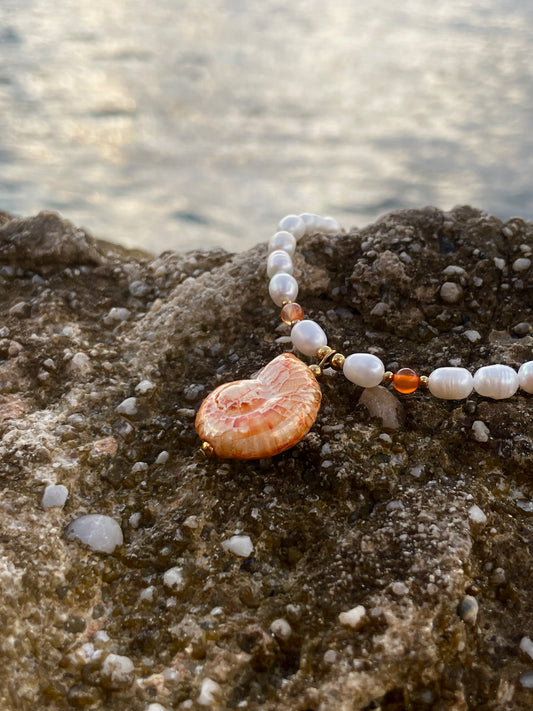 "Belle-vue" vertical