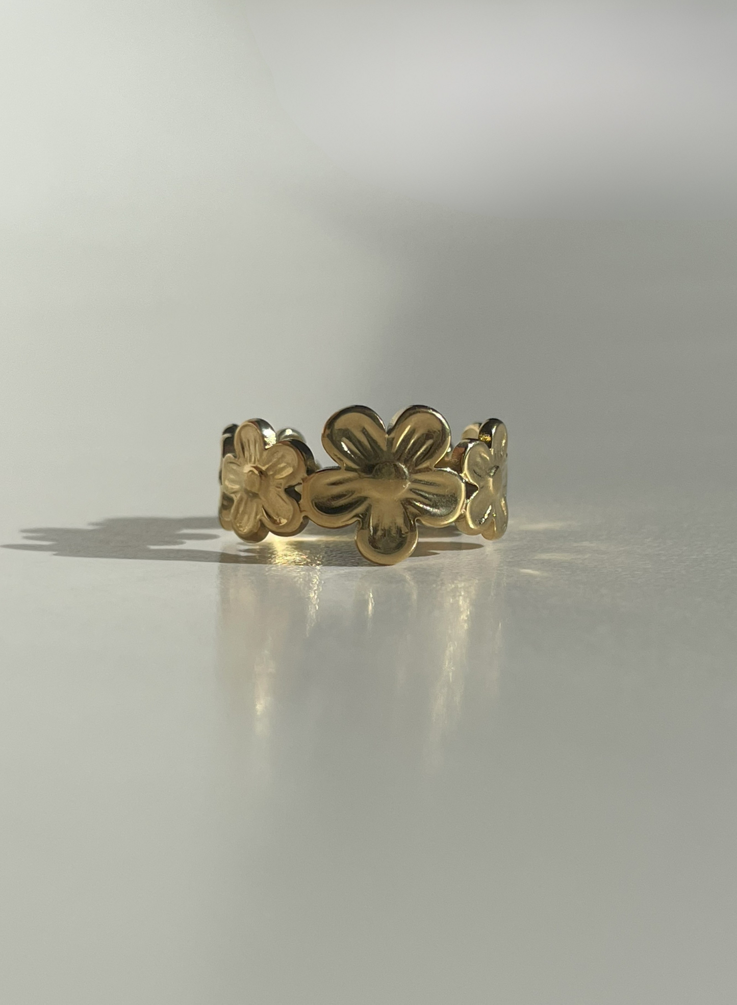 "Le Rozier" irrégulier