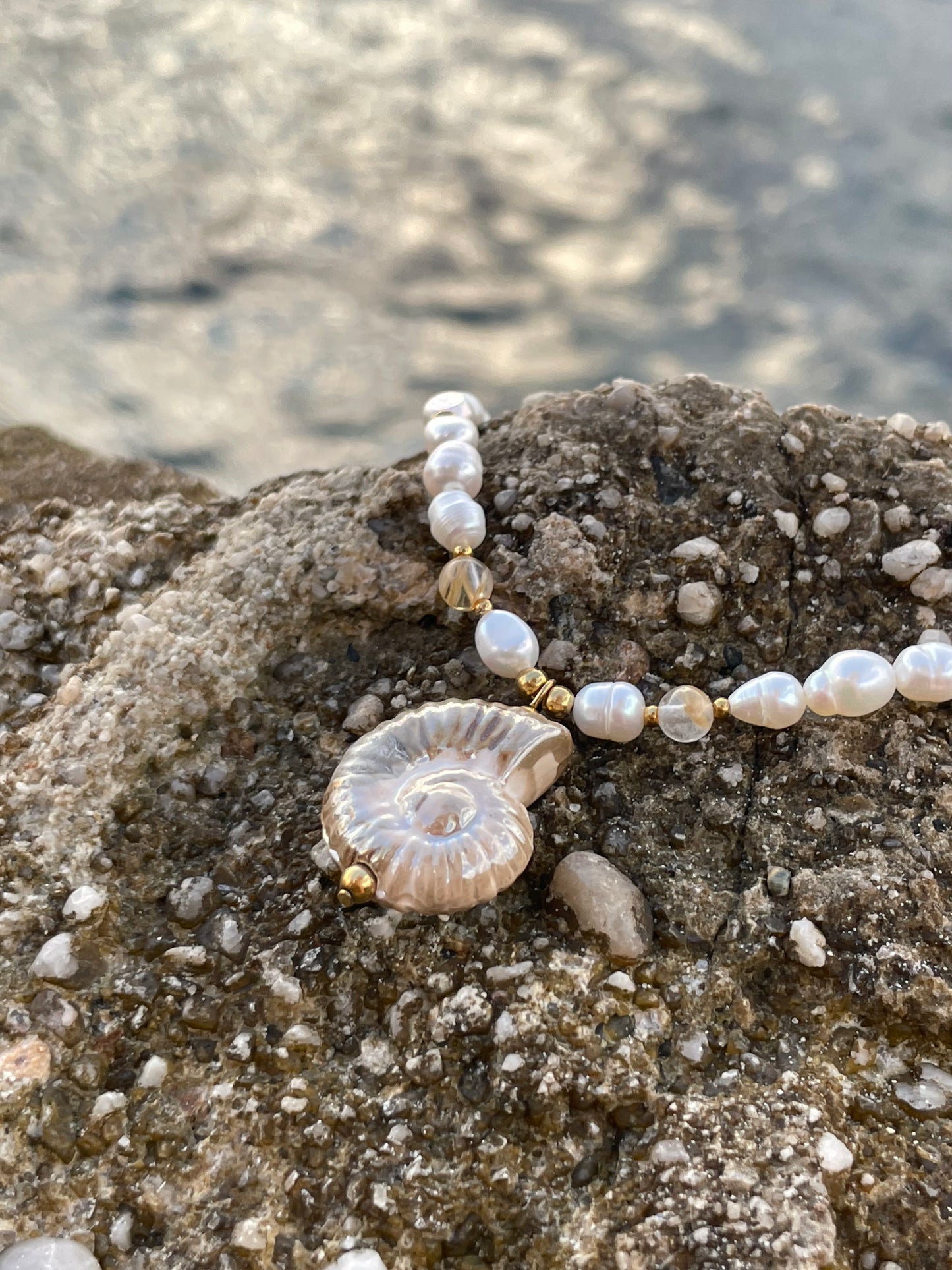 "Belle-vue" vertical