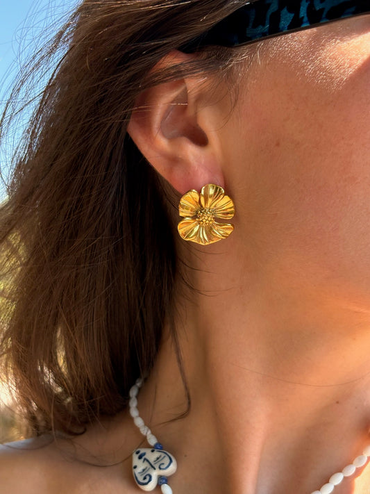 "Les Plantes du bois"