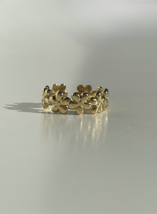 "Le Rozier" régulier