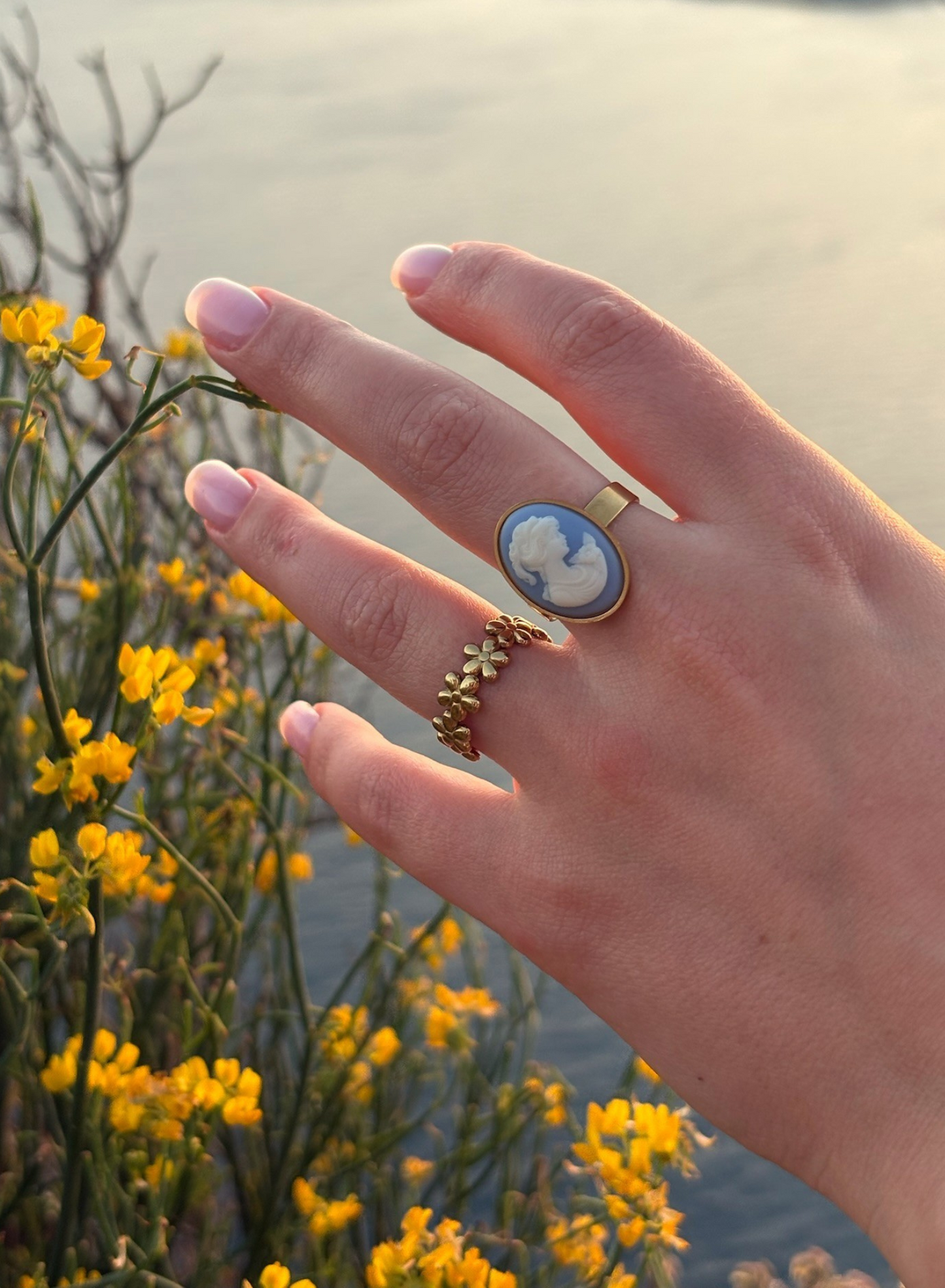 "Le Rozier" régulier