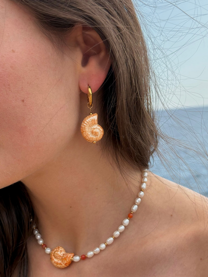 "Belle-Vue" horizontal