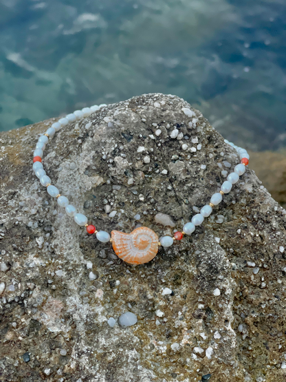 "Belle-Vue" horizontal