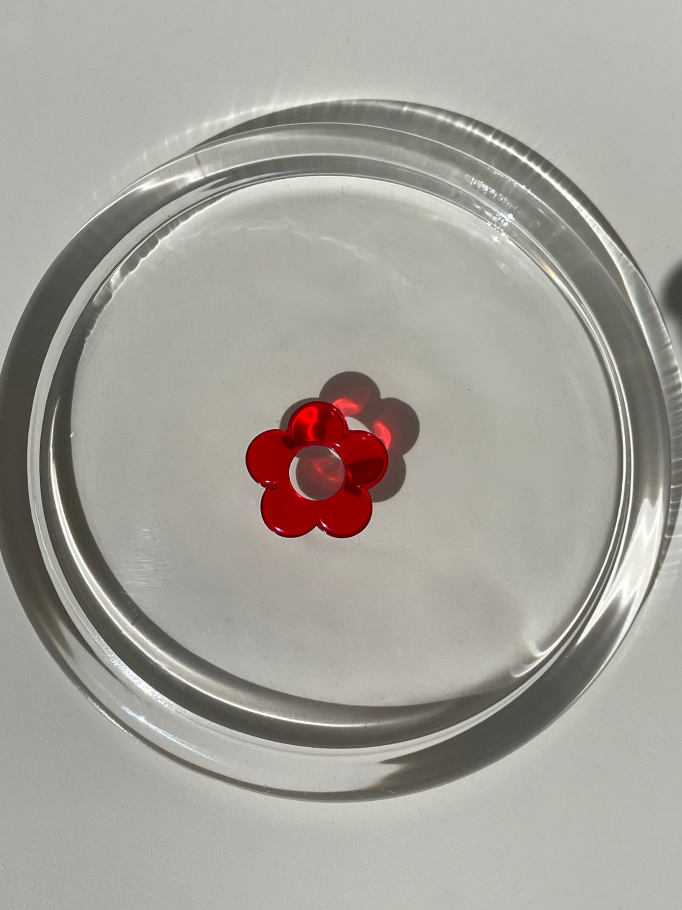 Pampilles "Les Fleurières"