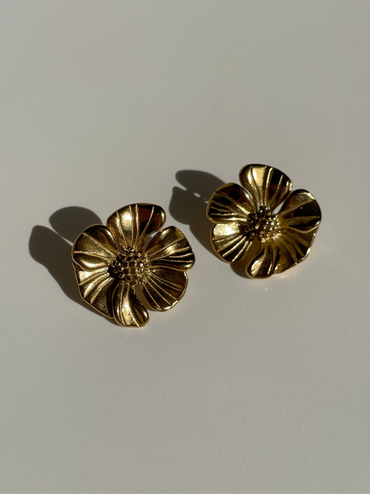 "Les Plantes du bois"