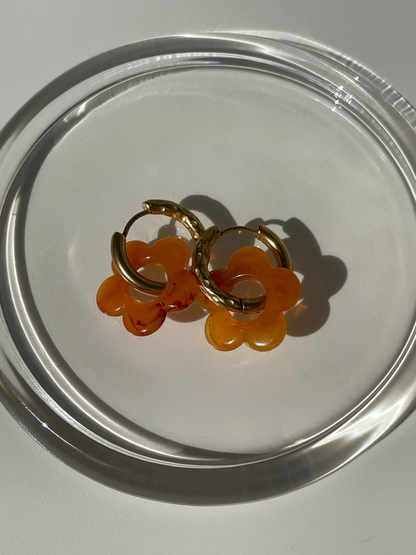 Pampilles "Les Fleurières"