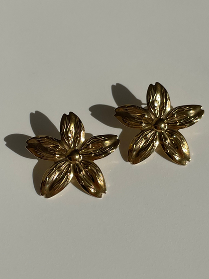 "Les Riottes"