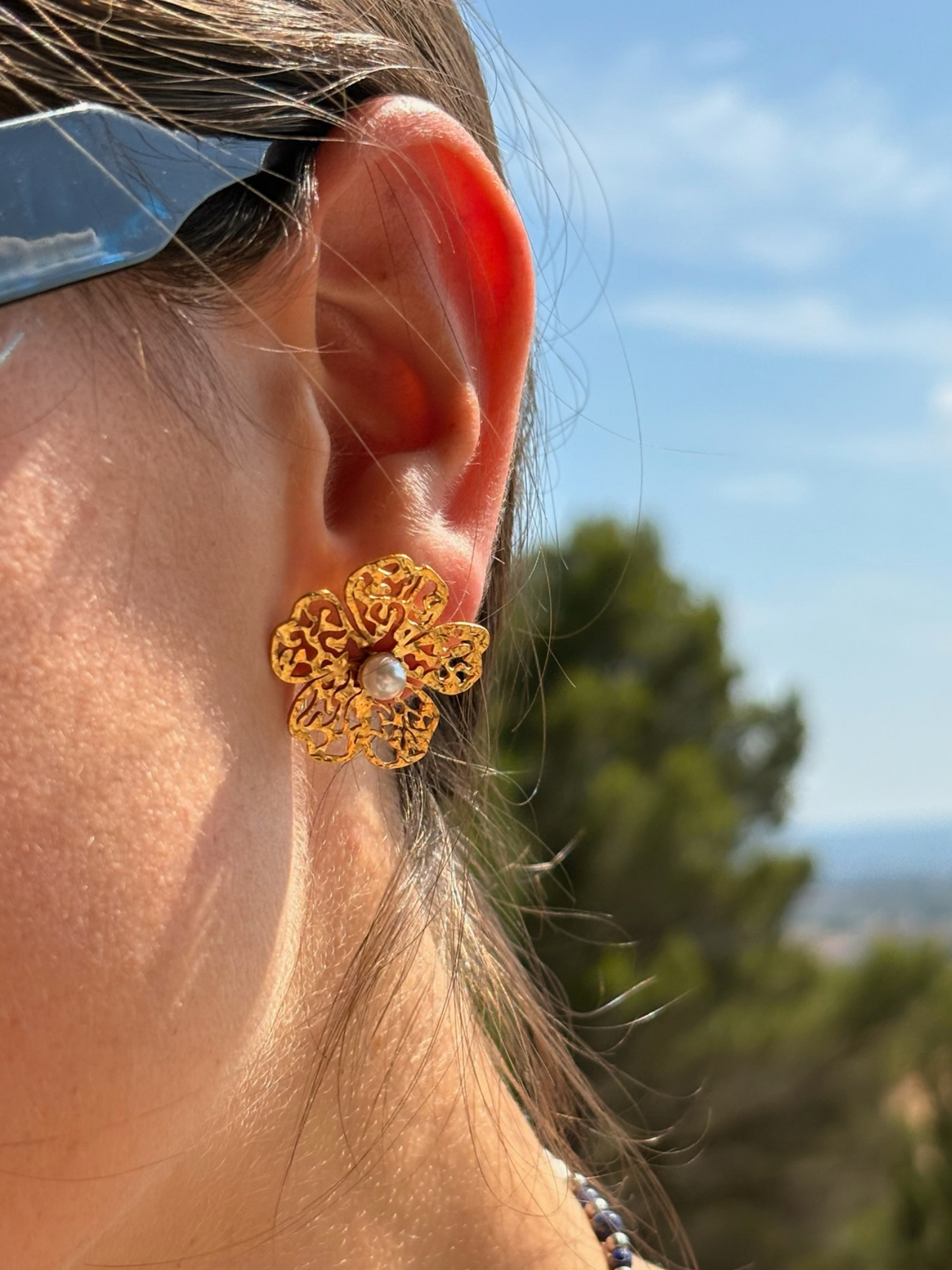 "Les Terres blanches"