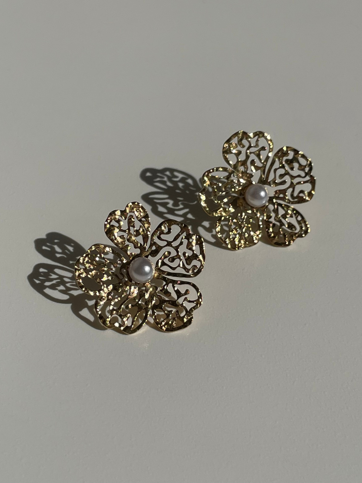 "Les Terres blanches"