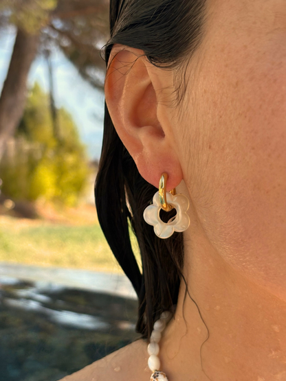 Pampilles "Les Fleurières"